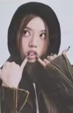 快闪随机卡 贝 ver.B