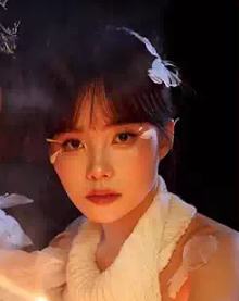 井迪