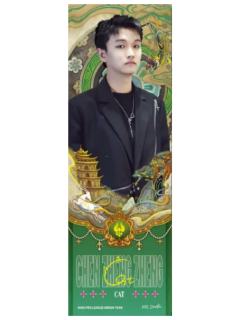 Cat(山河锦绣款)-AURORA极光系列镭射票