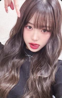 日咖三年会员礼 圆