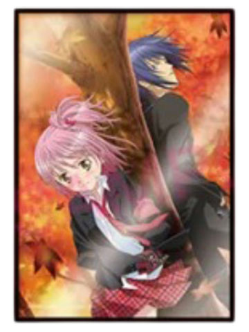 日奈森亚梦&月咏几斗(大色纸)-动画系列快闪限定单领周边