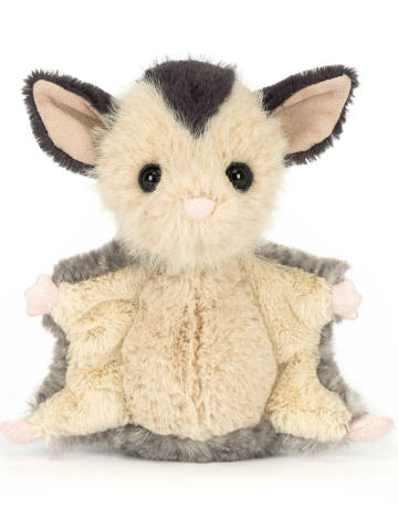 洛利蜜袋鼯小飞鼠