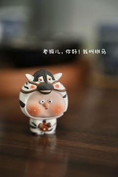 斑马Q豆