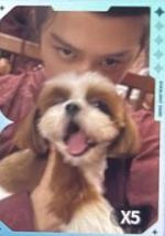 q音星光卡 一星ver.C