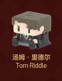 汤姆·里德尔