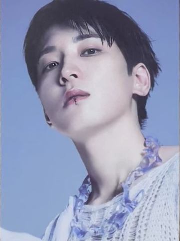 十周年快闪卡套卡 圆