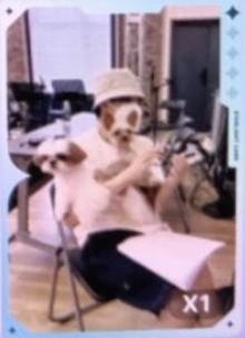 q音星光卡 一星ver.B