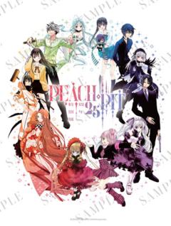 PEACH-PIT25周年特别展挂毯
