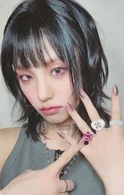 wm预售 志 ver.A