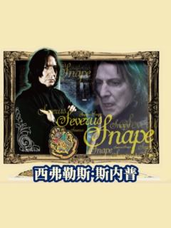 西弗勒斯·斯内普-亚克力立牌盲盒