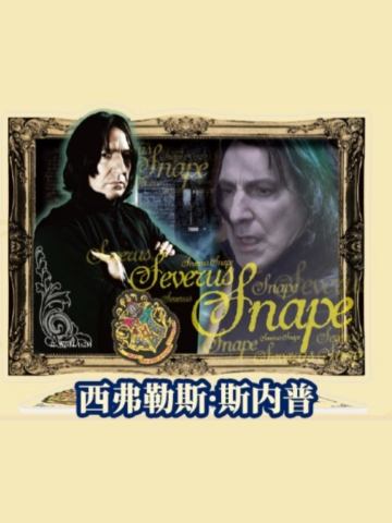 西弗勒斯·斯内普-亚克力立牌盲盒