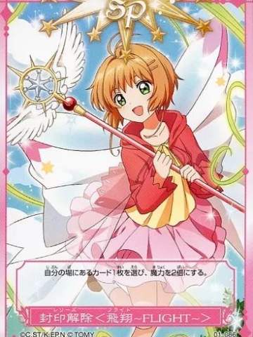 封印解除＜飞翔～FLIGHT～＞