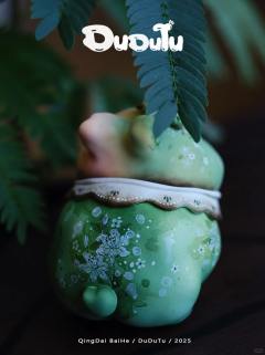 青黛百合（6cm）-资料图