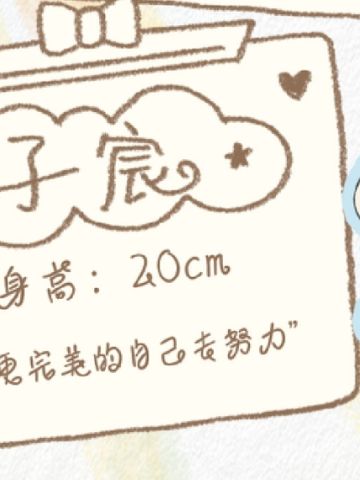 Lil Baby棉花娃娃ID卡 子宸