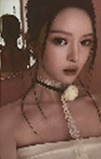 呈仕B版杂志卡3