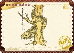电影票卡 世界票房
