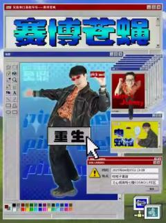 赛博苍蝇