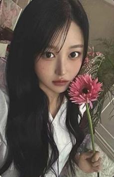 my版专卡soha ver.A