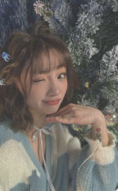 严小北艾丽莎小卡