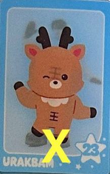 快闪随机光栅卡 橙 we riize ver.