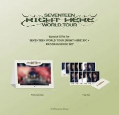 高阳dvd wvs