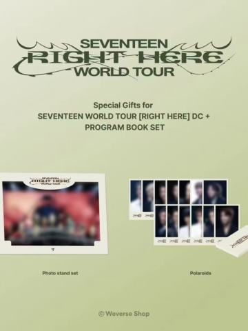 高阳dvd wvs