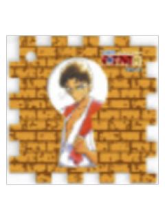 京极真-30周年纪念展亚克力拼图挂件