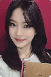 sw预售 莎