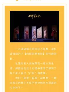 也许，向阳花-资料图