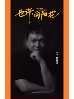 也许，向阳花-资料图