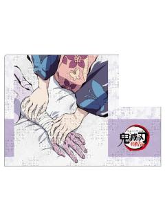 产屋敷耀哉&产屋敷天音-柱训练篇第七话文件夹套组