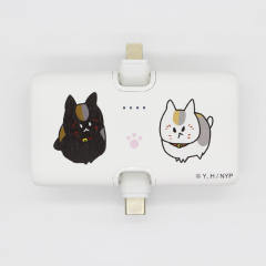 狸追&猫咪老师-2025年aj充电器-资料图