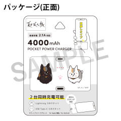 狸追&猫咪老师-2025年aj充电器-资料图