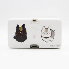 狸追&猫咪老师-2025年aj充电器-资料图