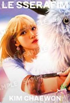 万代食玩卡 采 ver.A