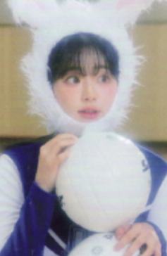 friend版电子专专卡cho ver.C