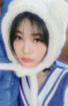 friend版电子专专卡 燕 ver.C