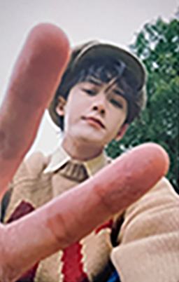 费加罗 ver.E