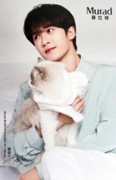 慕拉得龙年日历卡 ver.C