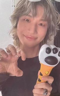 yellow版专卡 ver.C