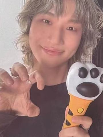 yellow版专卡 ver.C