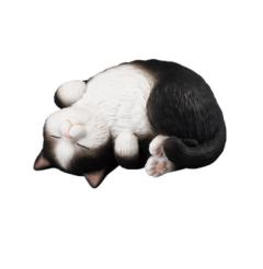 翻倒 八字脸黑猫