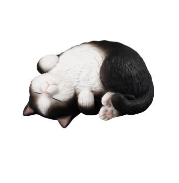 翻倒 八字脸黑猫