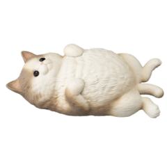 肚子朝天 八字脸灰猫