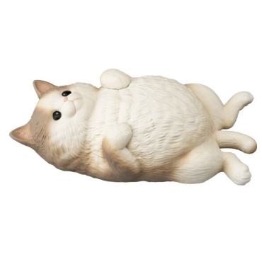 肚子朝天 八字脸灰猫