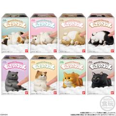 像年糕一样♪猫