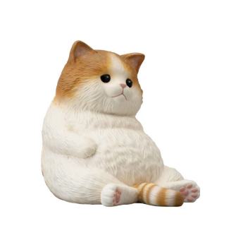 坐姿 八字脸橘猫