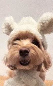 25台历固配 ver.12