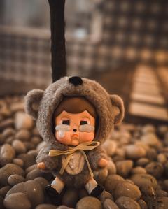 THE LONELY KOALA-资料图