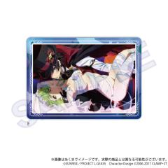 鲁路修&C.C-Y Line 反叛的鲁路修 场面写硬胶收纳卡套